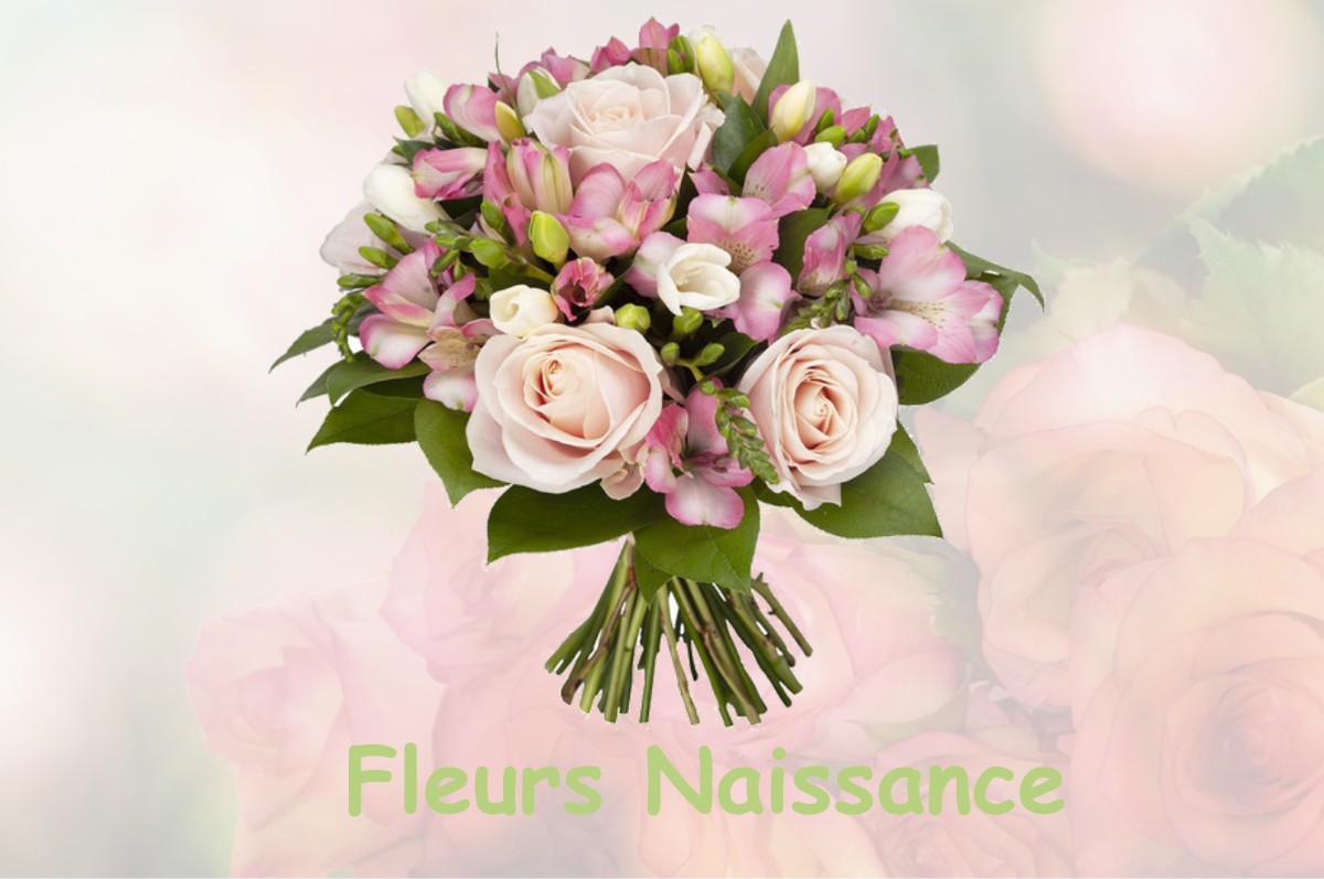 fleurs naissance THONNE-LA-LONG