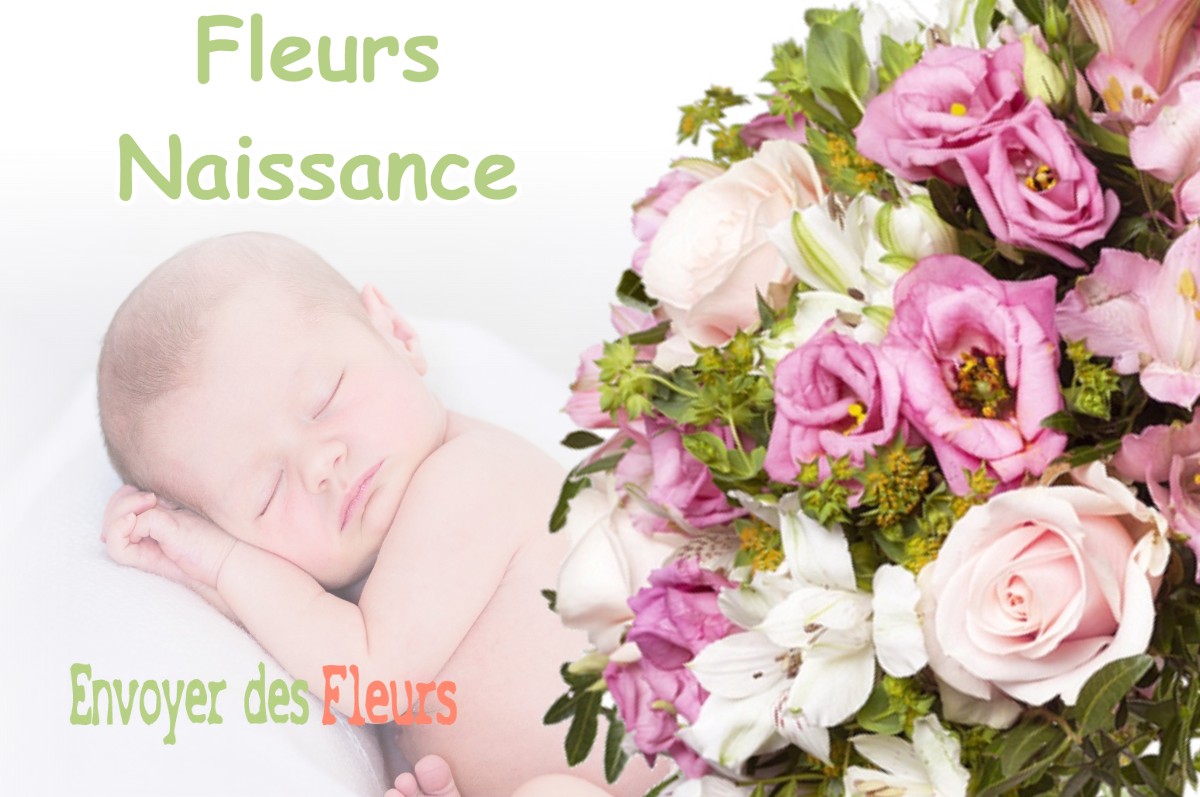 lIVRAISON FLEURS NAISSANCE à THONNE-LA-LONG